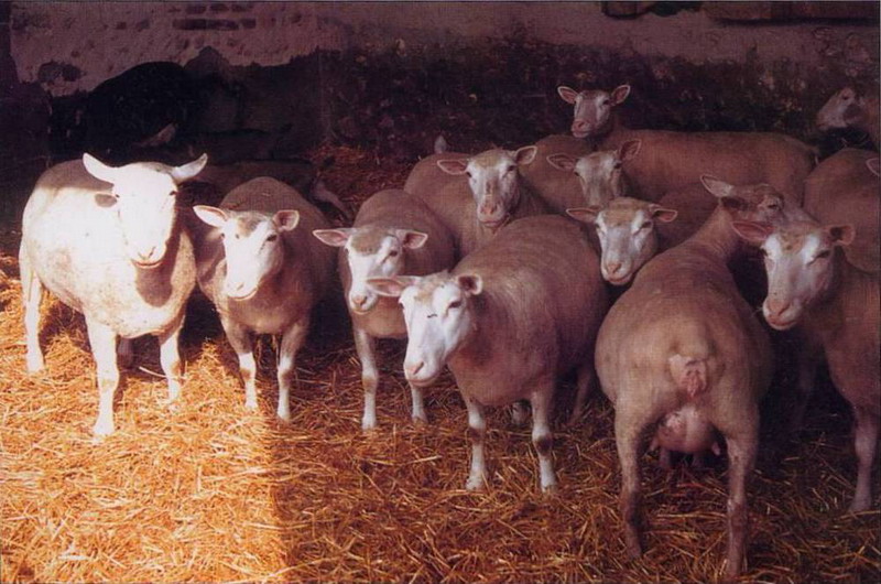 Cliquez sur l'image pour revenir à l'expo